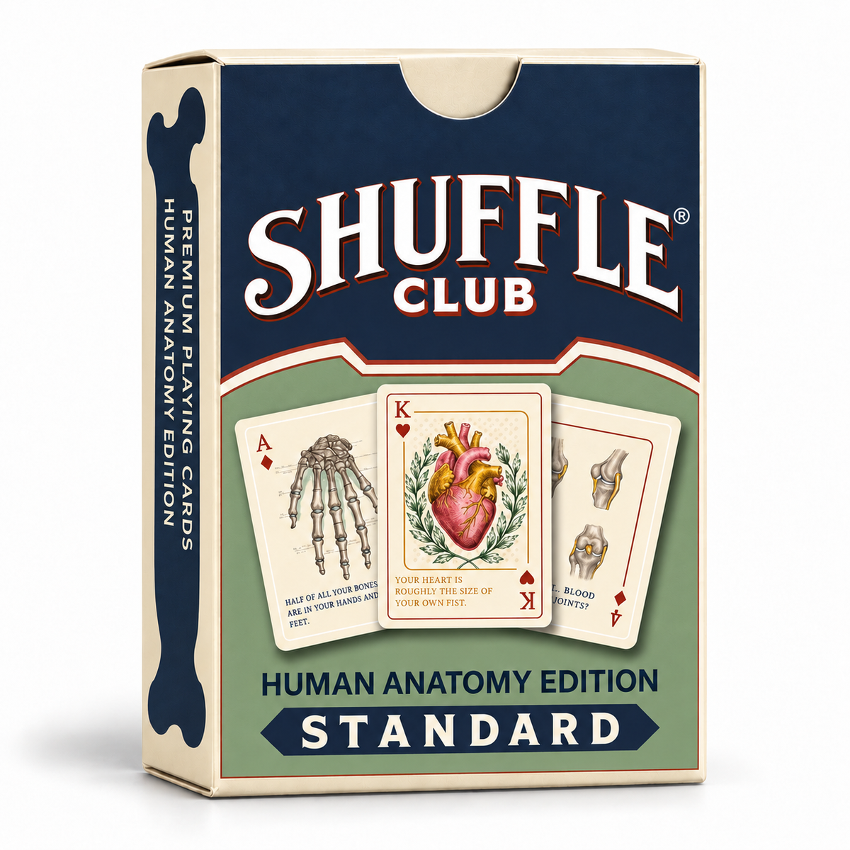 Human Body Playing Cards – box front